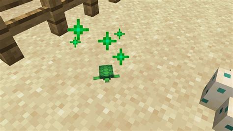 How to get turtle shells in Minecraft 1.18?