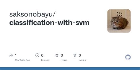 Image result for SVM Classification Model in Python