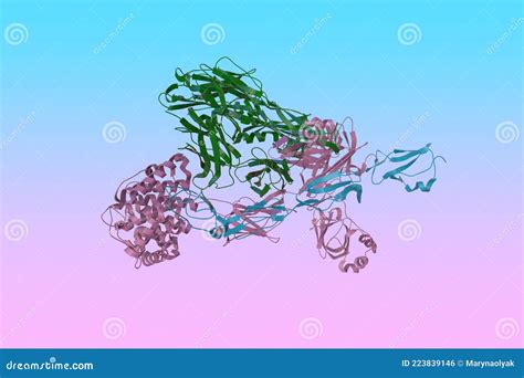 Structure Of The Complement Component C3c Royalty-Free Stock Photography | CartoonDealer.com ...