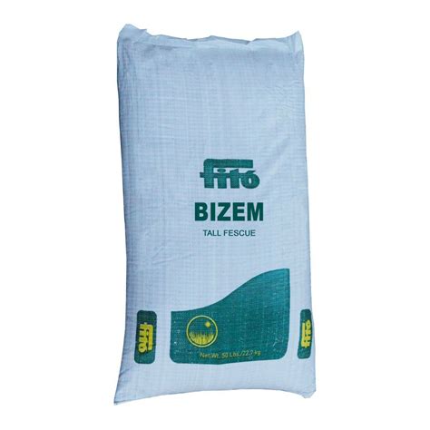 Fito Bizem Tall Fescue Uzun Çayır Otu Çim Tohumu