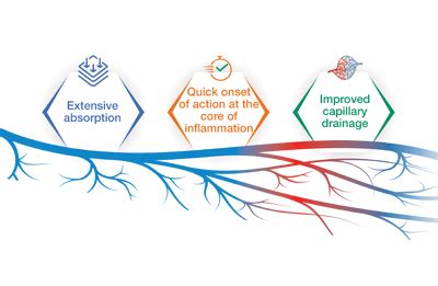 World Piles Day - Everything about piles from diagnosis to Hemorrhoidal ...