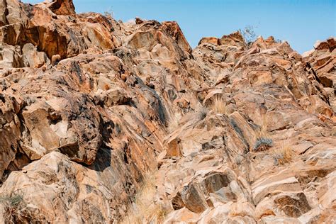 Andreas Canyon, an Easy Desert Hike in Palm Springs, California » Local ...