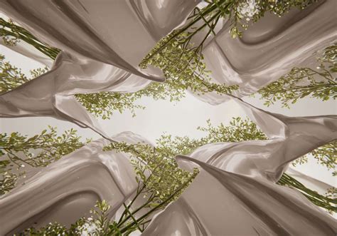 Participatory Culture → Term