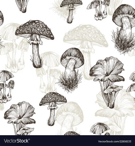 Detailed Pattern Vector 的图像结果