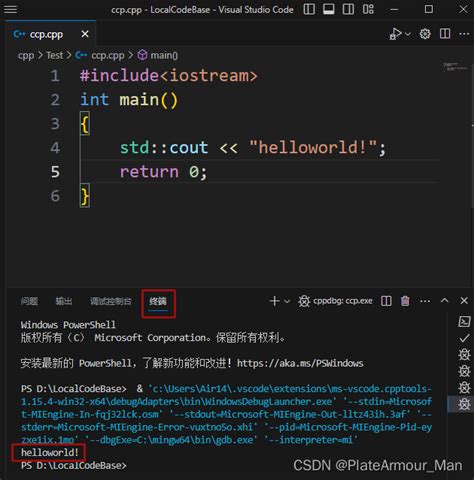 C Using Visual Studio Code 的图像结果