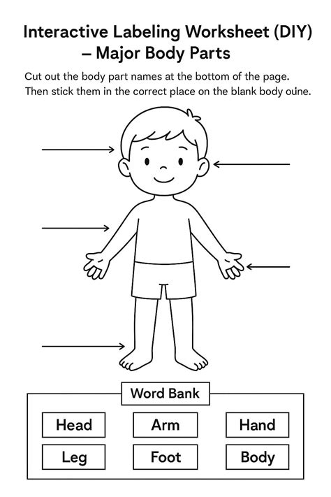 Interactive Labeling (DIY) Major Body Parts Worksheet - Download & Print Now!