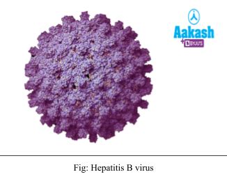 Sexually Transmitted Diseases: Complications & General Precautions | AESL