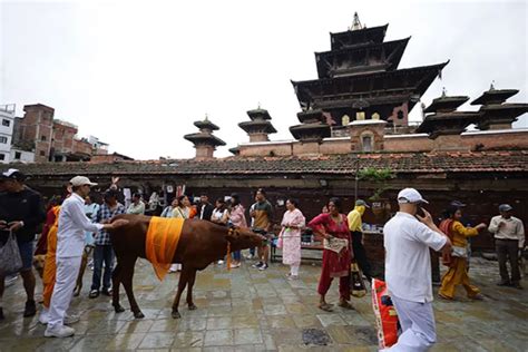 Nepal celebrates Gaijatra festival to honour departed souls and LGBTQI
