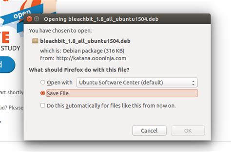 Install BleachBit 的图像结果