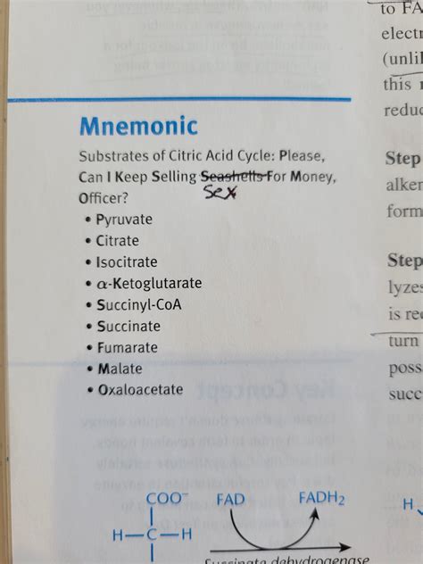 Krebs Cycle Mnemonic