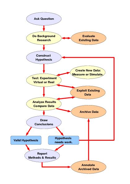 Scientific Investigation Method Example 的图像结果