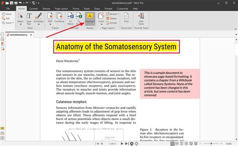 Image result for How to Type On PDF