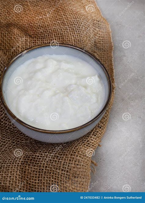 Sour Fermented Milk Drink USA Sale | www.oceanproperty.co.th