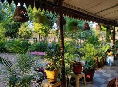 Our Recent Activities