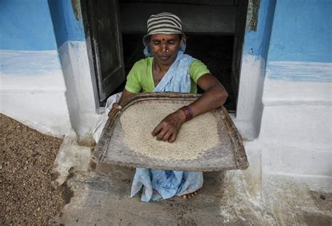 Millet processing units in Andhra Pradesh, Madhya Pradesh to give ...