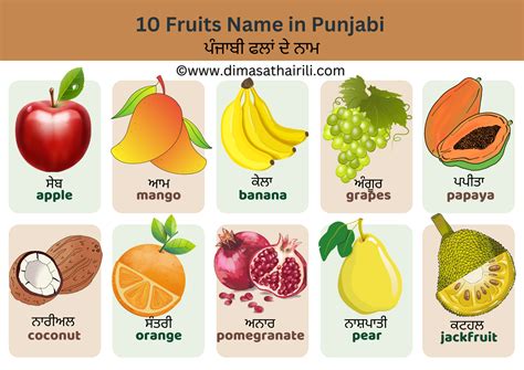40 Fruits Names in Punjabi and English with Pictures (ਪੰਜਾਬੀ ਫਲਾਂ ਦੇ ਨਾਮ)