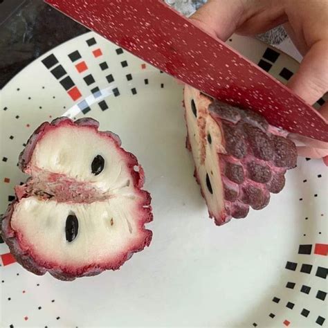Isan Indigo sugar Apple live Plant (Anona Squamosa) – veliyathgardens
