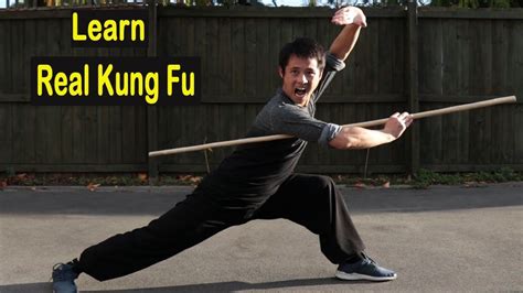 Image result for Kung Fu Tutorial