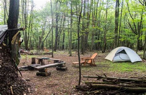 Best Camping Near Ithaca NY: Top Spots & Reservations
