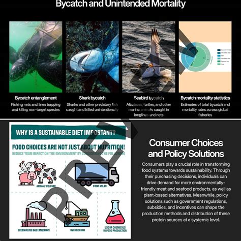 APES UNIT 5.5 Meat Production Methods and Overfishing | Notes + Slides