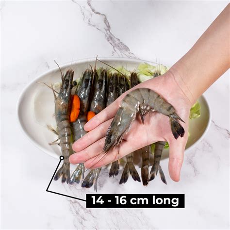 Black Tiger Prawn African Tiger Prawns 4 Pack | U4 & Wild Caught