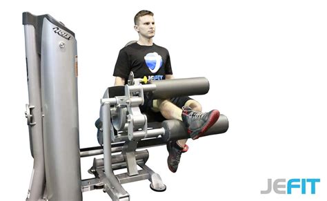 Leg Curl Machine Exercise 的图像结果