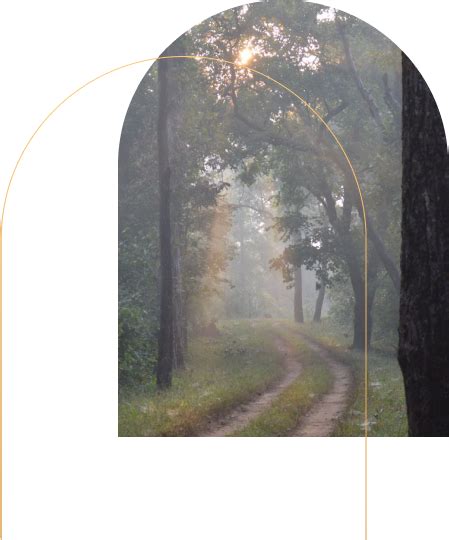 Soulacia | Luxury Wildlife Resort in Kanha National Park