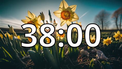 Spring Timer 10 Mins 的图像结果