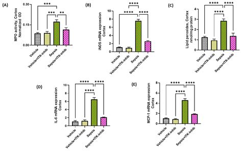 Inhibition of ITK Signaling Causes Amelioration in Sepsis-Associated ...