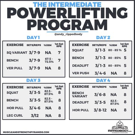 Basic Powerlifting Program 的图像结果