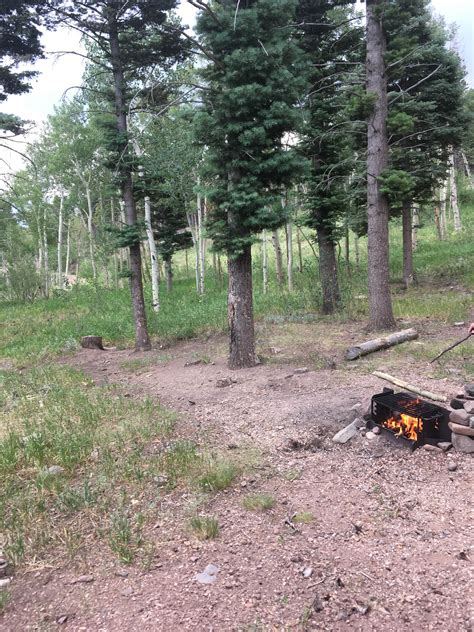 Alvarado Campground | Westcliffe, Colorado