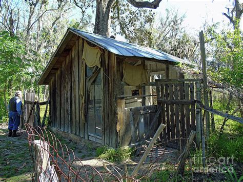 Image result for Brooder House Types