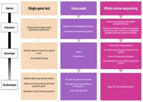 Epilepsy Syndromes in the First Year of Life and Usefulness of Genetic ...