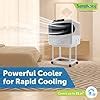 Symphony Sumo 60 Window Air Cooler | 3-Side Cooling | i-Pure + Tech ...