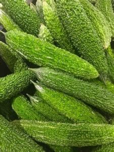 UGRA Bitter Gourd (Karela) Organic Desi Seeds Seed Price in India - Buy ...