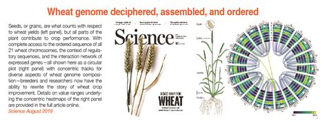 Department of Plant Molecular Biology - Home