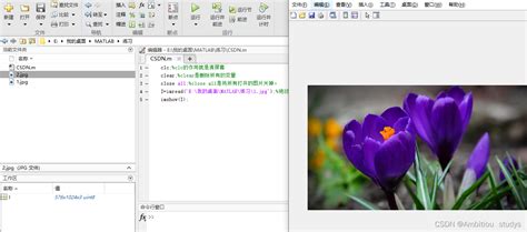 Image Function in MATLAB 的图像结果