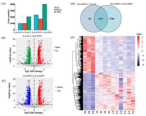 Transcriptome Analysis Reveals Candidate Genes Regulating the Skin and ...