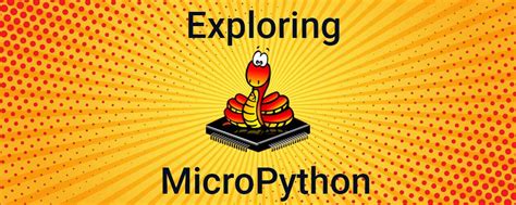 Image result for Micro Python Programming Language