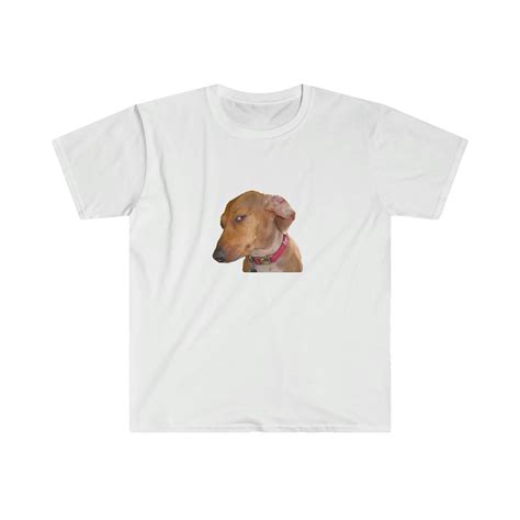 Get Your Side Eye on With Our Dachshund Tee! - Side Eye Dog Meme ...