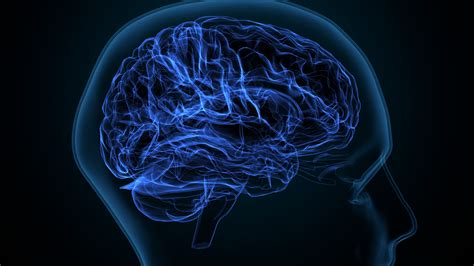 How Do Drugs Affect Mental Health | New Life House