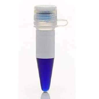 RNA loading dye : Amazon.in: Industrial & Scientific