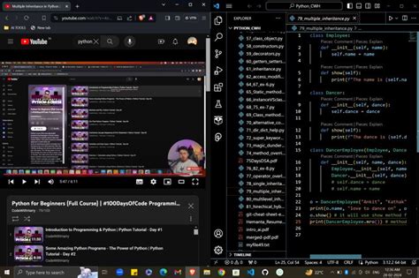 Codewithharry Python 的图像结果