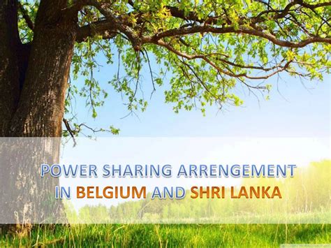 Power Sharing in Sri Lanka and Belgium Class 10 Civics | PPTX