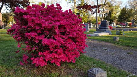 Price List – Moravian Cemetery