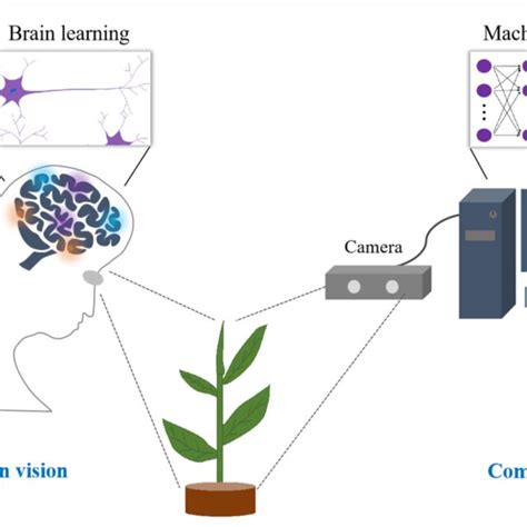 Image result for Computer Vision Human Motion Picture