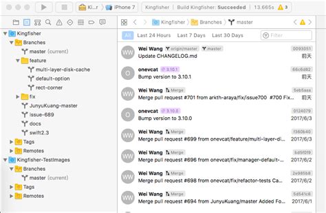 Xcode iOS SDK 的图像结果