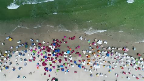 Busy Beach Scene 的图像结果