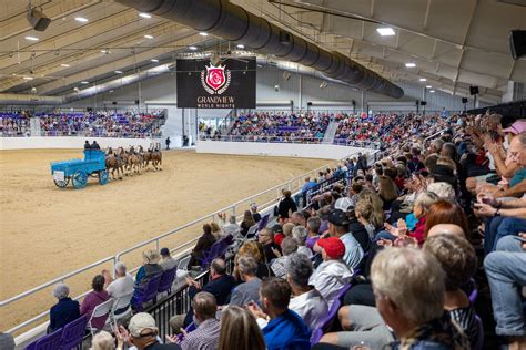 Breaking Down the WEC Ocala Schedule 2025: Everything You Need to Know!