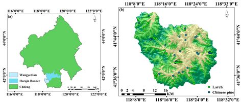 The Impacts of Phenological Stages within the Annual Cycle on Mapping ...